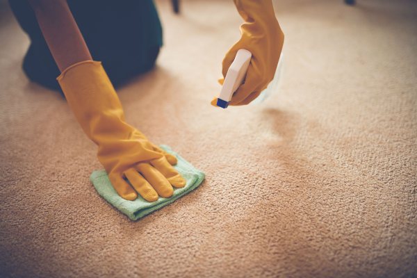 Carpet Shampooing